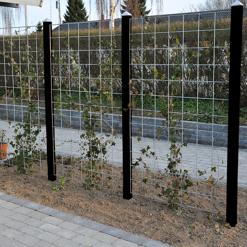 Hortus Säleikkö Lasipaneeliaitaan Set Kaide Varusteineen 3 Osaa 4 Mustaksi Maalattua Tolppaa 240 Cm Hortus 90 X 120 Cm