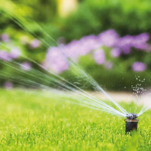 Anlägga och så gräsmatta | Byggmax Anlägga och så gräsmatta | Byggmax